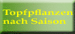 Topfpflanzen nach Saison